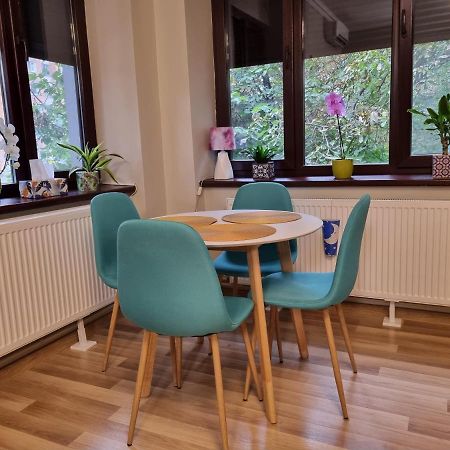 City Inn Premium Apartment Τιμισοάρα Εξωτερικό φωτογραφία