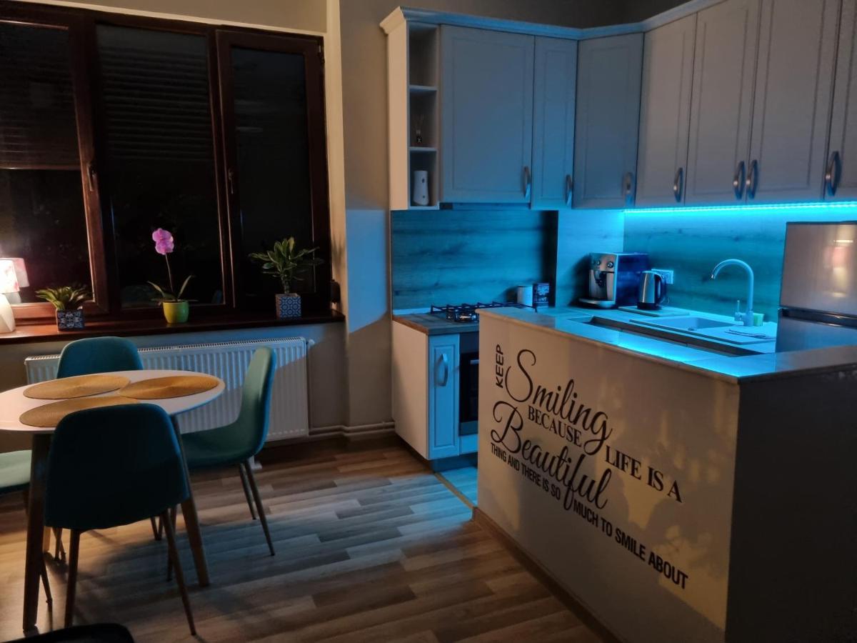 City Inn Premium Apartment Τιμισοάρα Εξωτερικό φωτογραφία